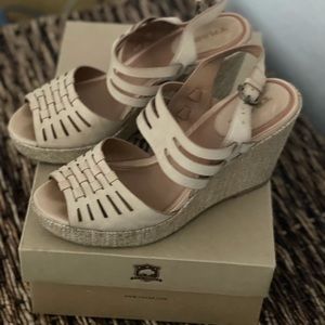 Tarsal Ladies Super cute